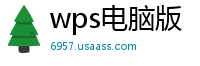 wps电脑版